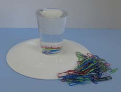 Easy water experiment studying surface tension, Photo by Myrna Martin