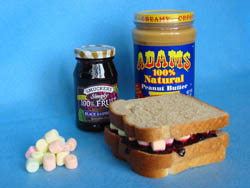 Simple science activity showing how sedimentary layers form