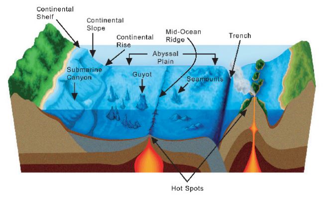 Ocean Trenches Separate Tectonic Plates