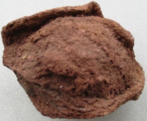 Lava bomb