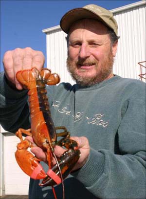 two-toned lobster with fisherman who caught it