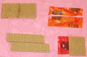 Earth's Moving Plates activity