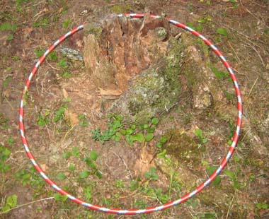 Microclimates, Eco-circles.