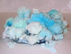 Crystal Garden