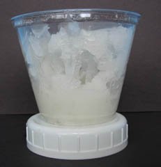 Cave in a Cup