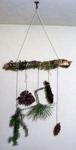 Science activity, Nature mobile