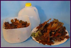 Science activity, Recycling in a Jug