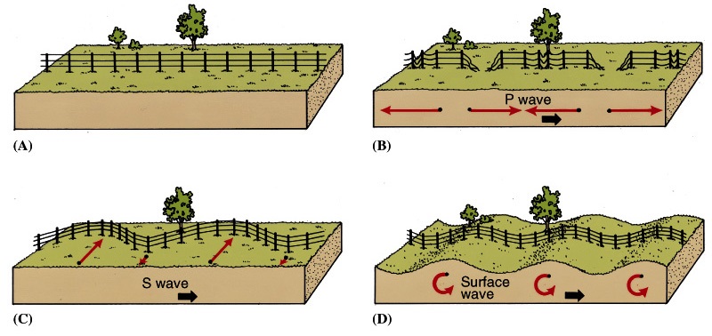 Movement of three types of earthquake waves  USGS