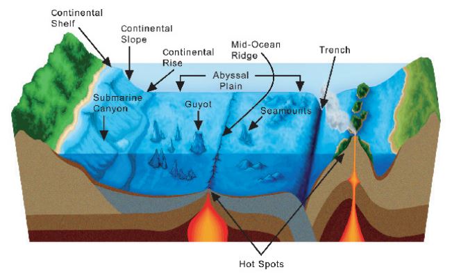 Seafloor showing different areas of the seafloor including a trench NOAA