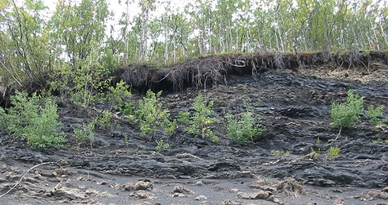 Layers of coal exposed along road in Alaska  Myrna Martin